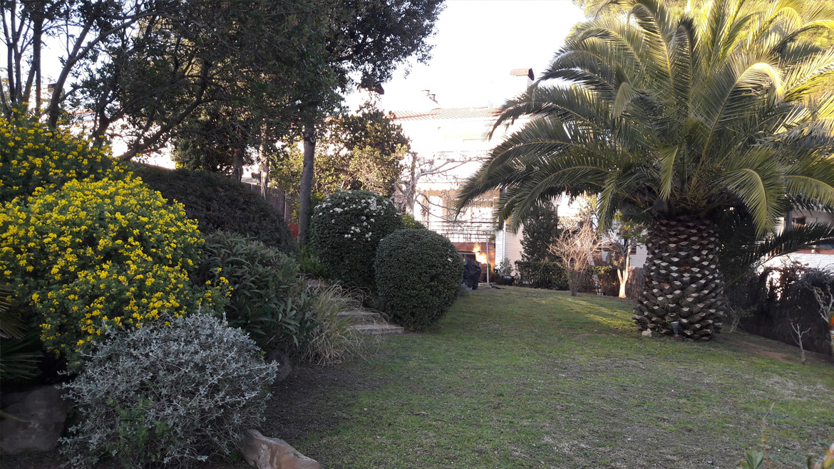 Jardín mediterráneo
