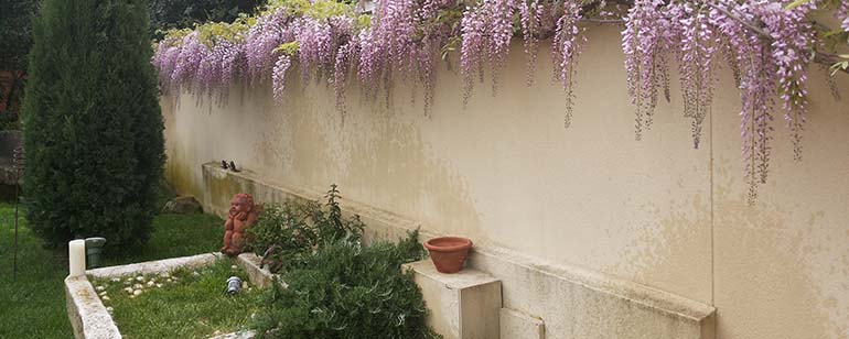 Diseño de jardines en Sabadell