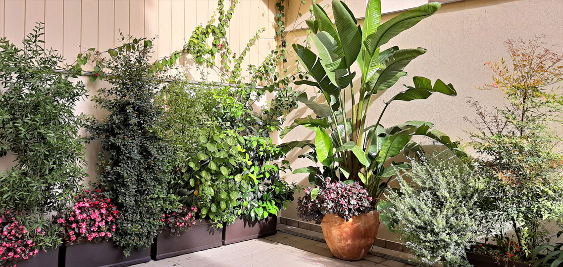 Patio interior con jardineras